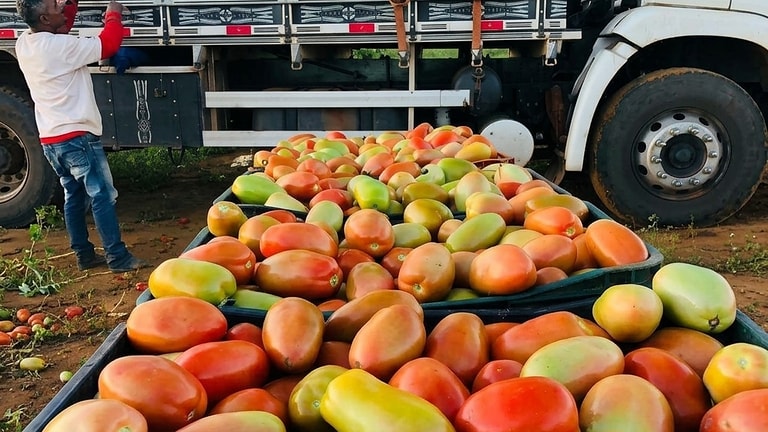 Chargement de caisses sur un camion de distribution